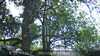 20230527142601-DSCF0053.JPG