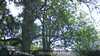 20230527145709-DSCF0055.JPG