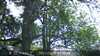 20230527145948-DSCF0057.JPG