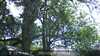 20230527150354-DSCF0059.JPG