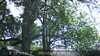 20230527150713-DSCF0061.JPG