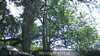 20230527151122-DSCF0063.JPG