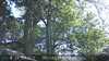 20230527165308-DSCF0075.JPG