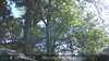 20230527165559-DSCF0077.JPG