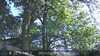 20230527172855-DSCF0091.JPG