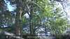 20230527175011-DSCF0097.JPG