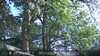 20230527175959-DSCF0105.JPG
