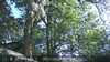 20230527181241-DSCF0111.JPG