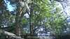 20230527181652-DSCF0117.JPG