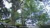 2023-05-28:Wildlife Dropzone
