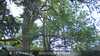 20230528090404-DSCF0158.JPG