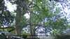 20230528091723-DSCF0164.JPG
