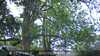20230528092136-DSCF0166.JPG