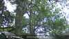 20230528095845-DSCF0174.JPG