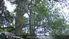 20230528100019-DSCF0176.JPG