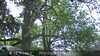 20230528111820-DSCF0178.JPG