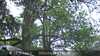 20230528114509-DSCF0182.JPG