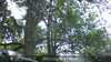 20230528134509-DSCF0184.JPG