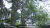20230528144200-DSCF0188.JPG