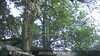 20230528192637-DSCF0194.JPG