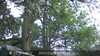 20230528193223-DSCF0198.JPG