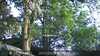 20230528202012-DSCF0224.JPG