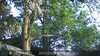 20230528202502-DSCF0230.JPG