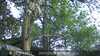 20230528202829-DSCF0236.JPG