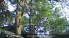 20230528205221-DSCF0248.JPG
