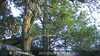 20230528210144-DSCF0252.JPG