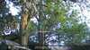20230528210326-DSCF0254.JPG