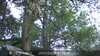 20230528212239-DSCF0264.JPG