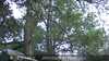 20230528212503-DSCF0266.JPG