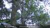 20230528215109-DSCF0268.JPG