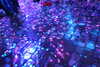 20230711204237-DSCN5940.JPG