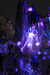 20230711204328-DSCN5948.JPG