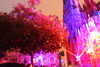 20230711205141-DSCN5988.JPG