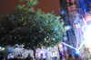 20230711205323-DSCN5999.JPG