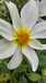 2023-07-12:Bayeux-Giverny
