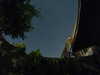 20230808025358-G0014006.JPG