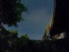 20230808035137-G0014234.JPG