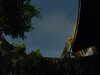 20230808035152-G0014235.JPG