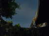 20230808035253-G0014239.JPG