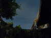 20230808035324-G0014241.JPG