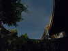 20230808035409-G0014244.JPG