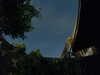 20230808035540-G0014250.JPG