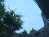 20230808054710-G0015388.JPG