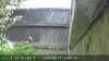 20230819134814-DSCF0177.JPG