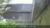 20230819135148-DSCF0181.JPG