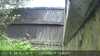 20230819144001-DSCF0207.JPG